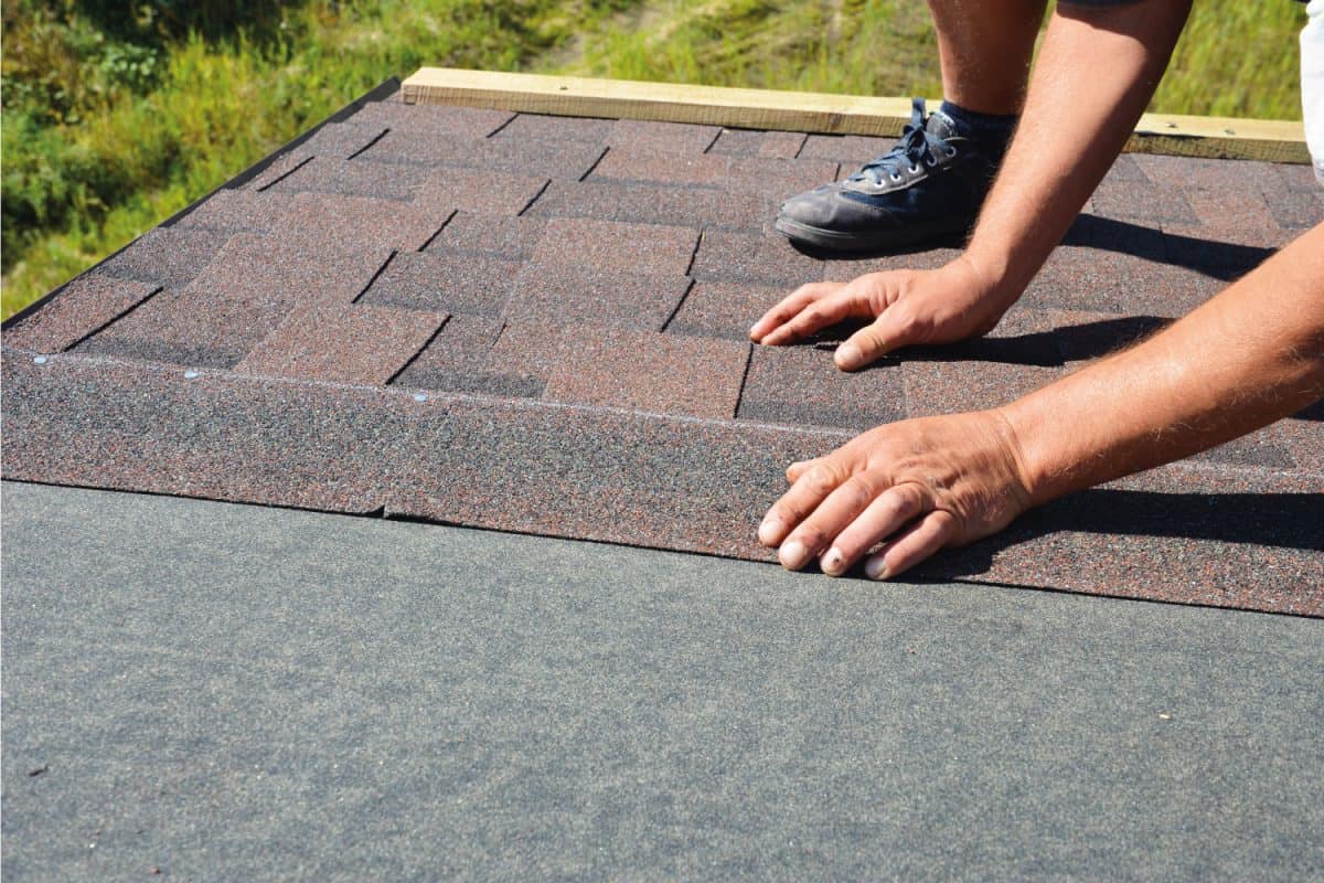 A building contractor is installing dimensional asphalt roof shingles on the underlayment of the house construction repairing the rooftop.