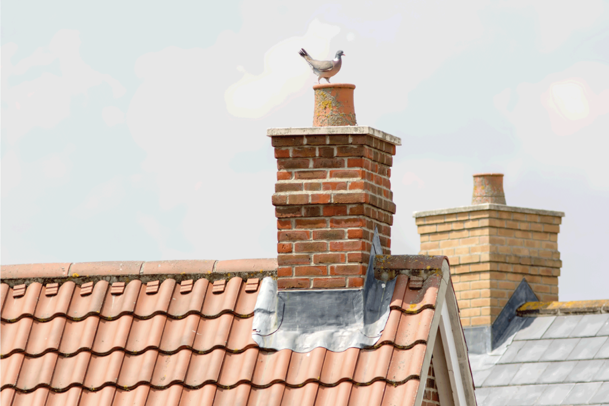 Brick chimney stack. Contemporary urban housing estate house roof tops with pigeon