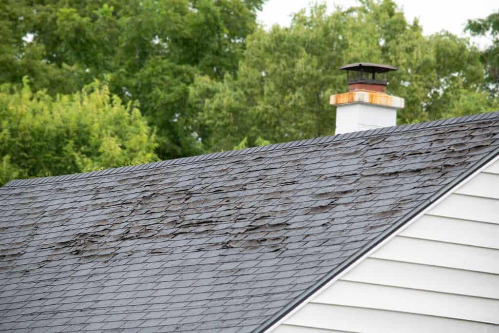 Damage to shingle roofing due to heavy water downpour or absorption