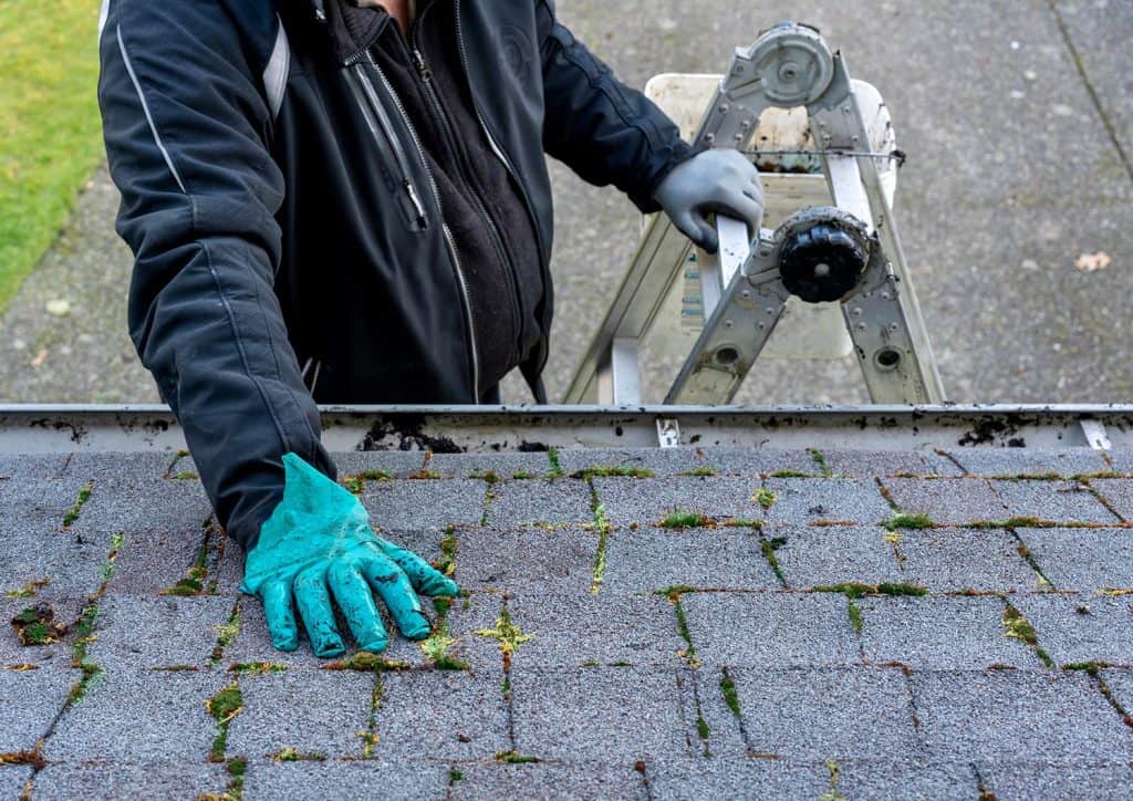 Man on top of ladder cleaning moss and dirt from a building roof