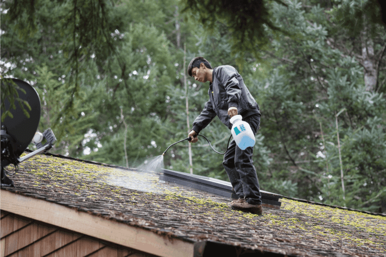man spraying chemical on roof shingles