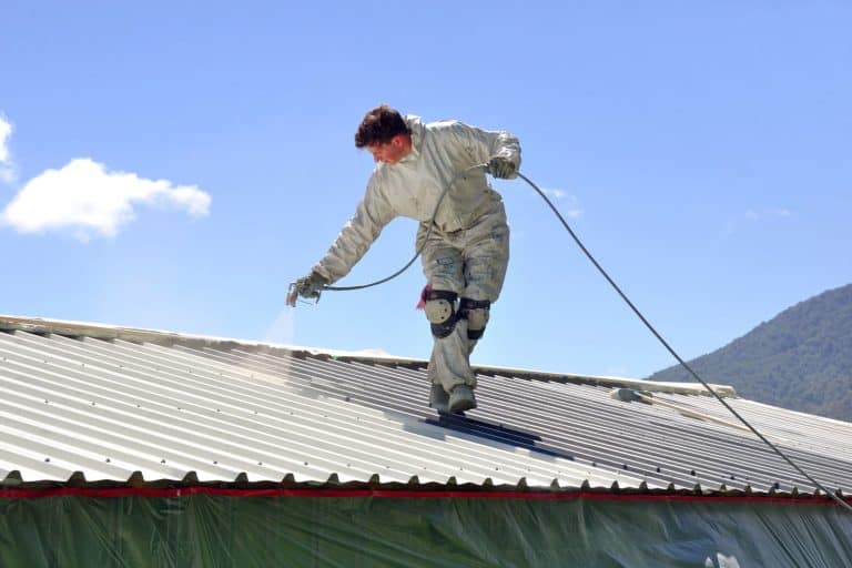 A worker painting the roof of a small house, What Is The Best Paint For a Steel Roof