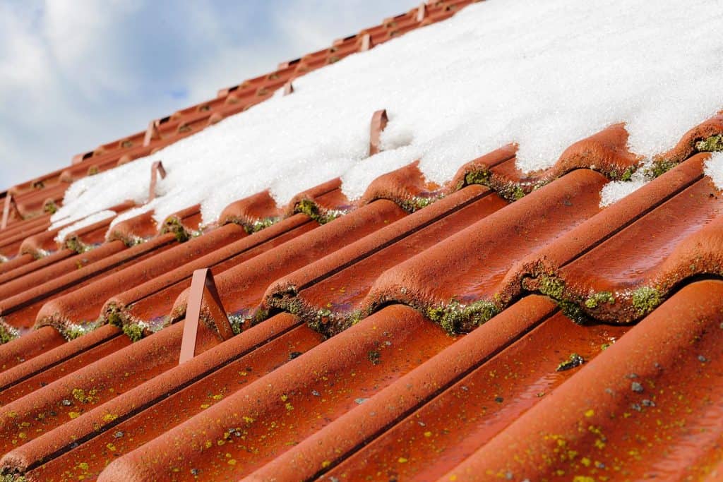 Moss and lichen are visible on the roof's surface