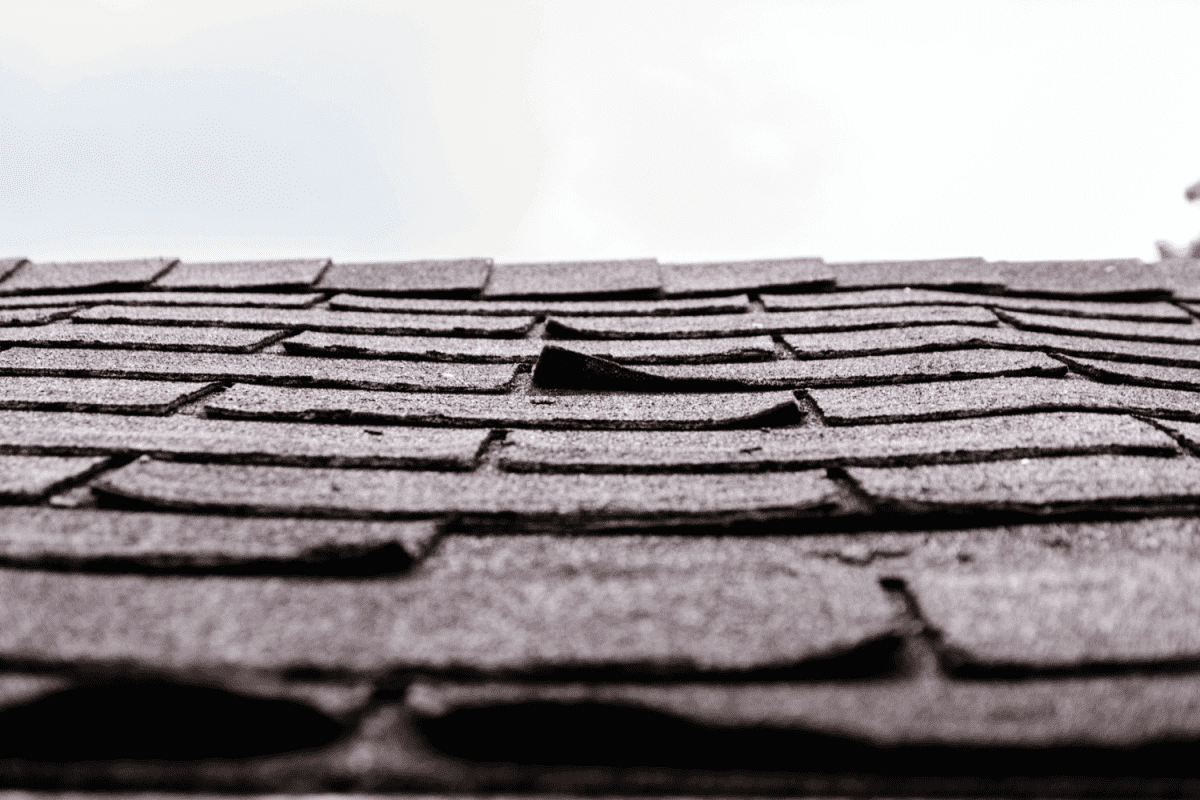 damaged asphalt shingles over the roof of a shed in the backyard