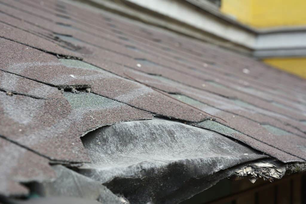 roof shingles damage from not fixing for a long time